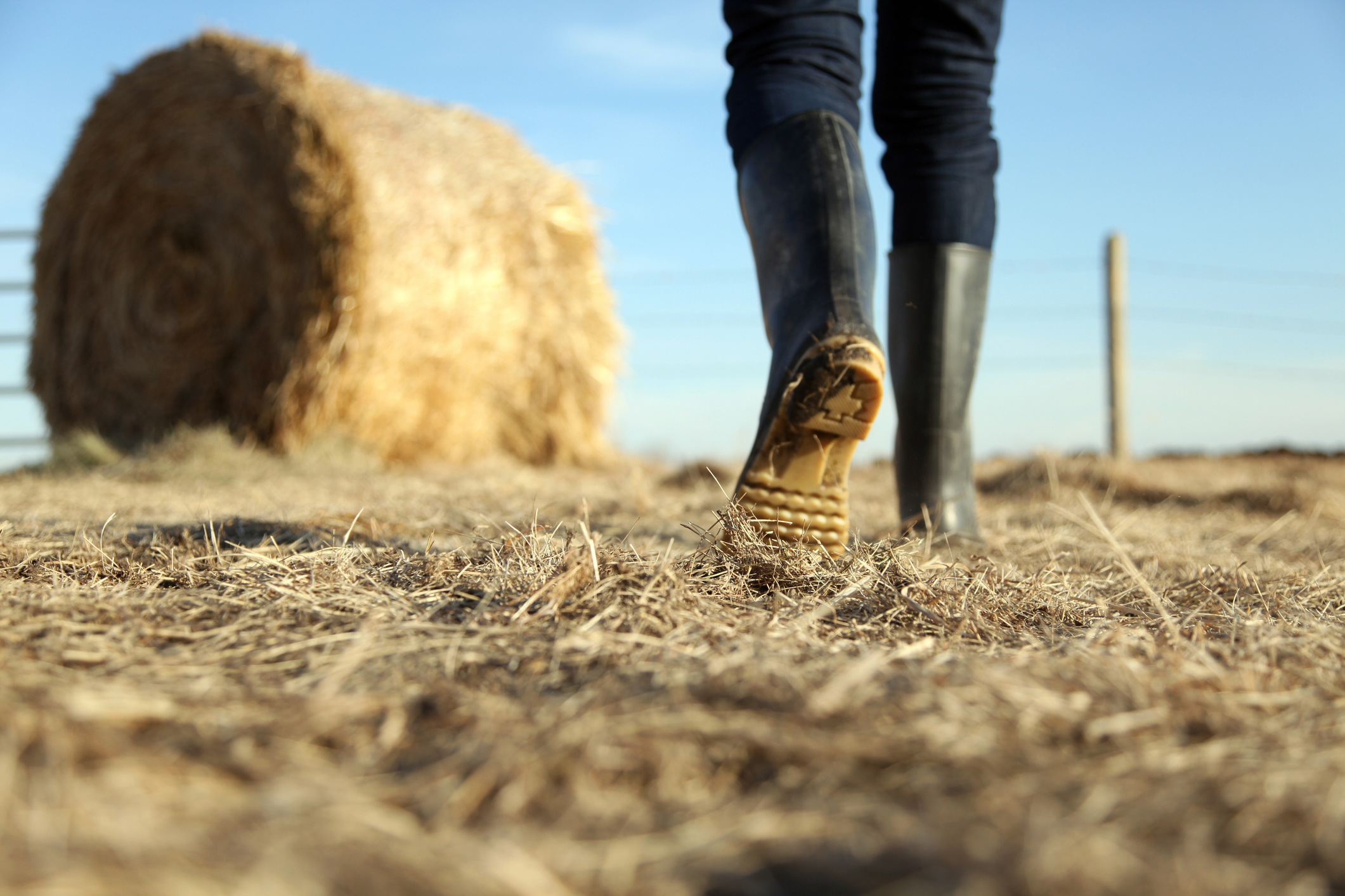 Манитоба подписа споразумение за влагане на 2 9 милиона долара за