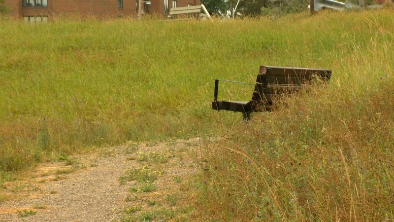Tom Campbell’s Hill Natural Park in northeast Calgary.