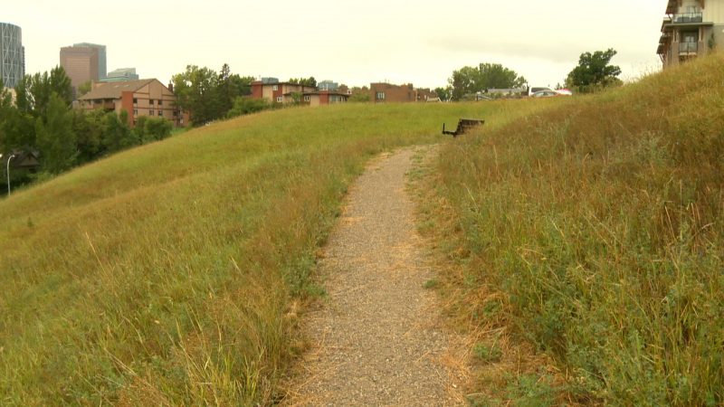 Tom Campbell’s Hill Natural Park in northeast Calgary.