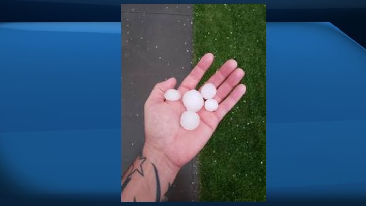 Large hail stones fell in Sylvan Lake at 9 pm on July 31, 2019.
