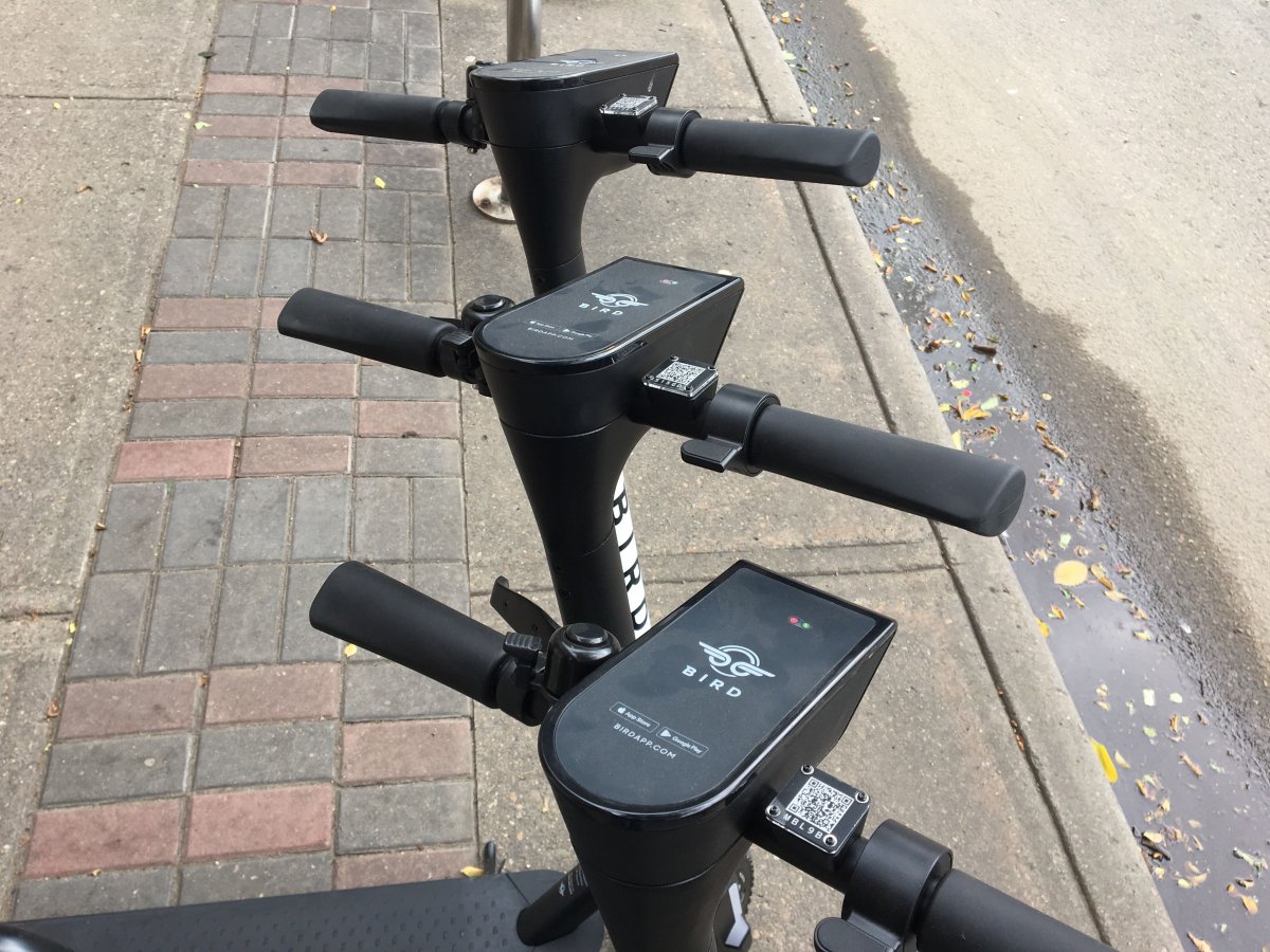 Bird e-scooters spotted on Whyte Avenue near 106 Street in Edmonton's Old Strathcona area on Friday, August 16, 2019.