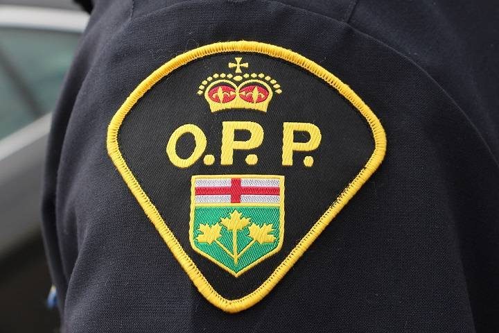 OPP say a girl and her mother were attacked by two Saint Bernards near Haliburton on Sunday.