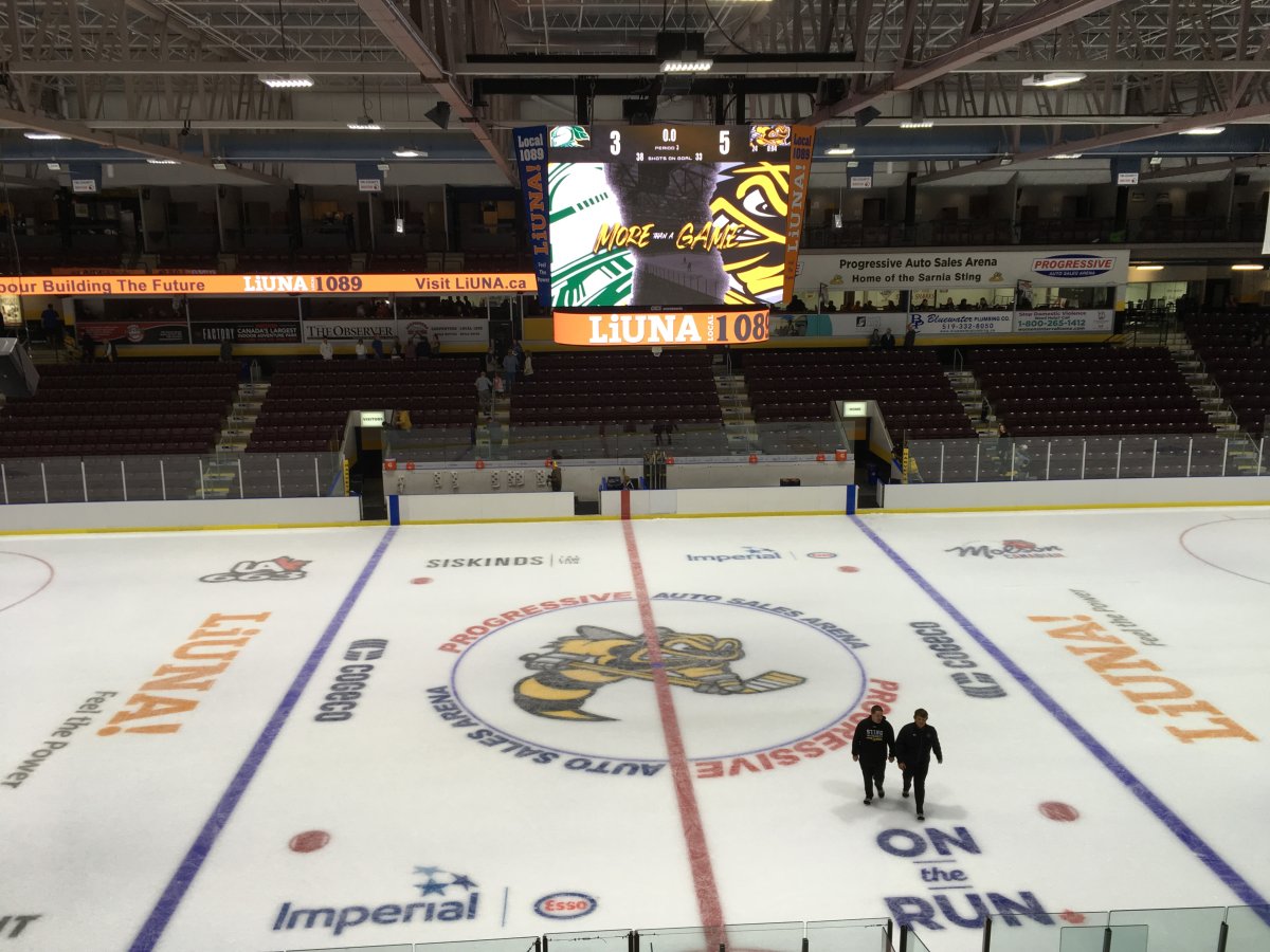 Sarnia Sting defeat London Knights in second of pre-season home and home - image