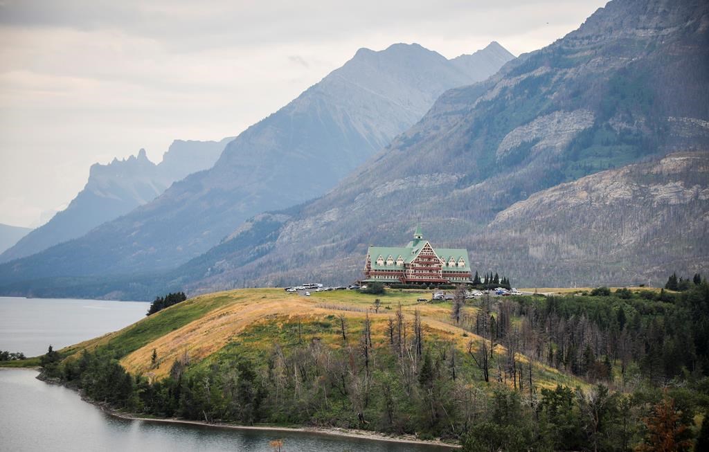 Trees surrounding the Prince of Wales Hotel start to re-grow after a wildfire two years ago in Waterton National Park, Alta., Friday, Aug. 9, 2019.THE CANADIAN PRESS/Jeff McIntosh