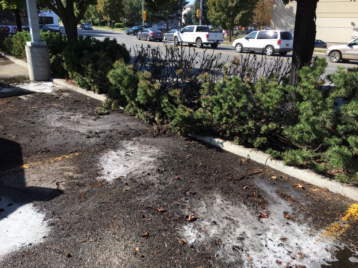 A shrub fire that occurred near the Canadian Tire store in Kelowna on Tuesday morning has been deemed suspicious.