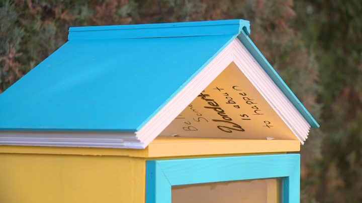 Little Free Library in City Park.