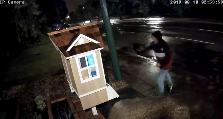 Surveillance video appears to show an individual throwing a rock through the window of a Little Free Library in Regina's Normanview neighborhood.