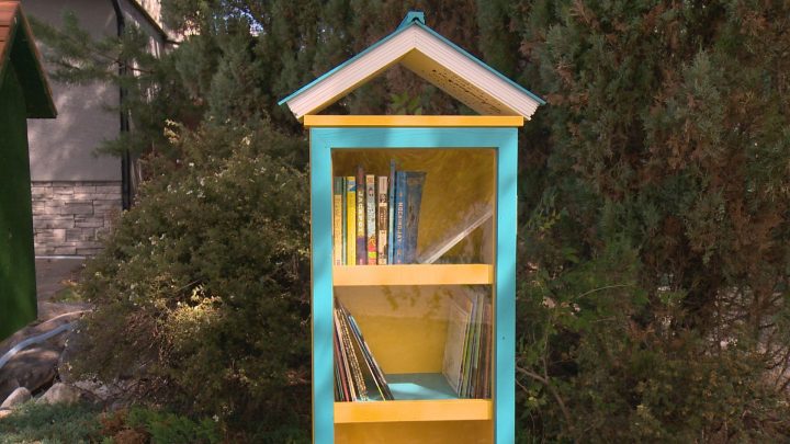 A new Little Free Library in Saskatoon's City Park neighbourhood is geared towards children.