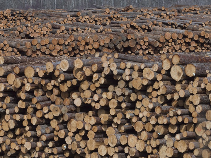 Logs waiting to be processed at Tolko Industries in Heffley Creek, B.C. 
