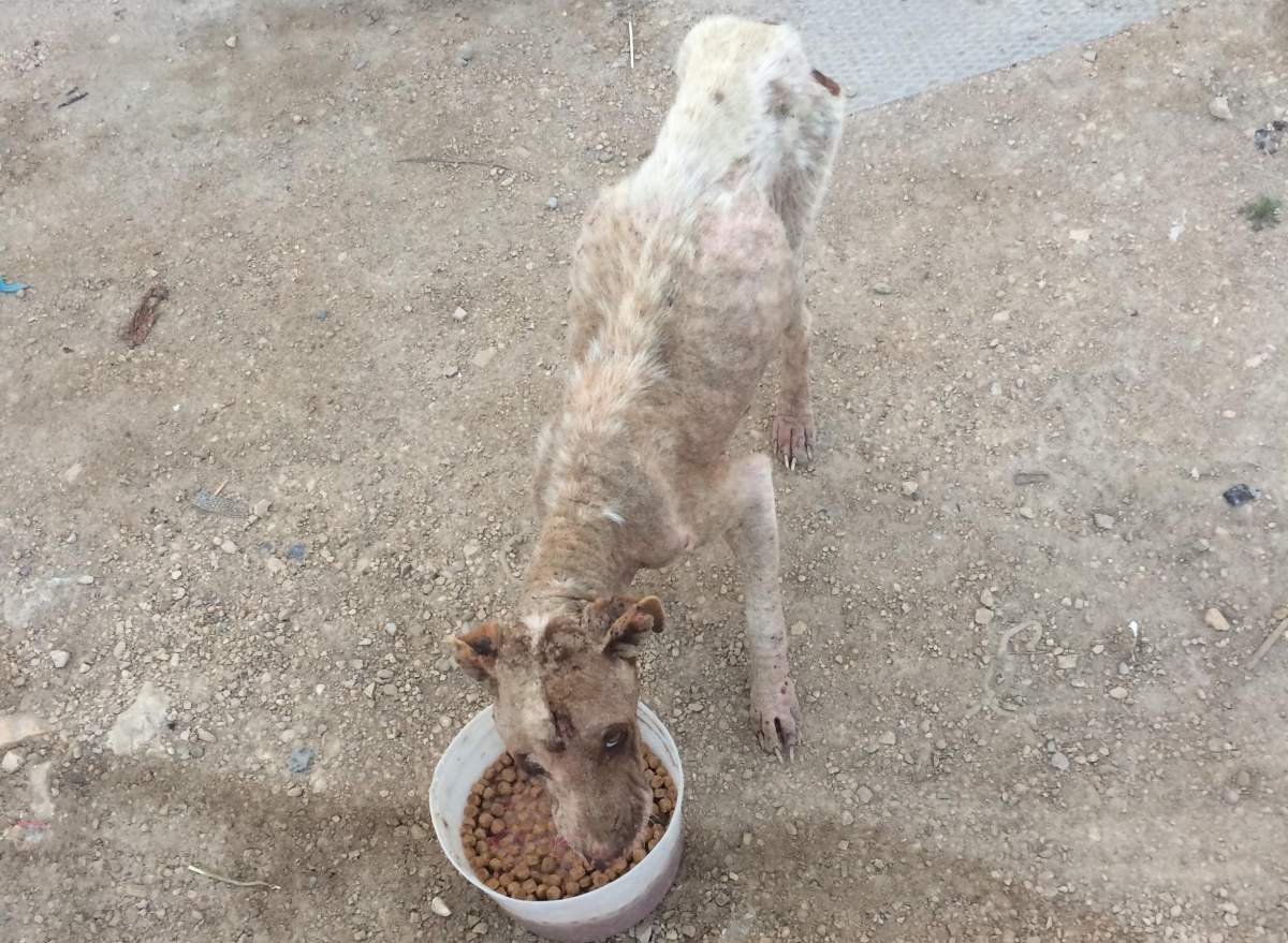 Miracle when she was found in a community near The Pas.