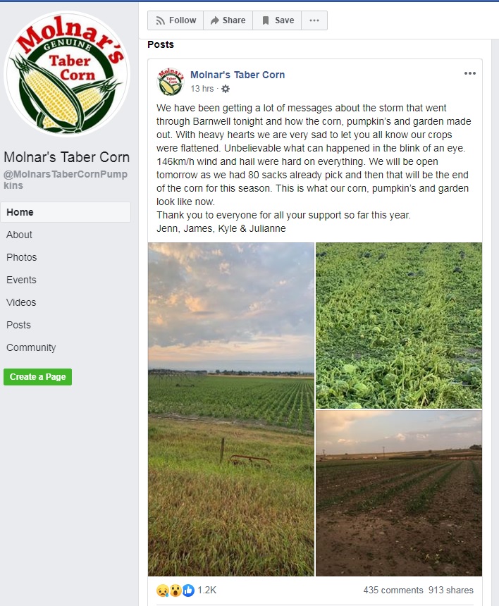 Molnar’s Taber Corn fields ruined after severe storm Tuesday