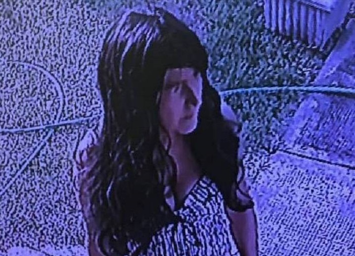 A surveillance photo of a woman who is alleged to have tried to kidnap a baby in Osoyoos in August, 2018. 