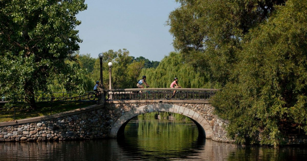 Ottawa police say they are investigating the death of a dog in Patterson Creek Park on Wednesday.