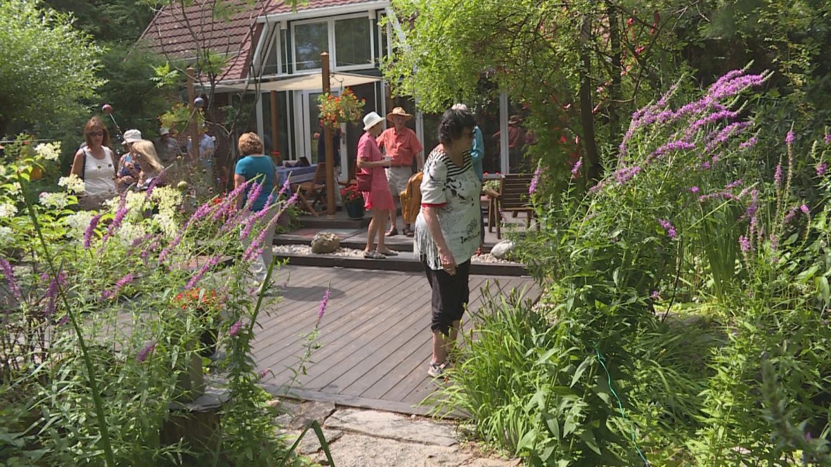 Visitors check out a wild garden at a home in Pointe-Claire during a garden tour on Aug. 11, organized by the area's horticultural society. 