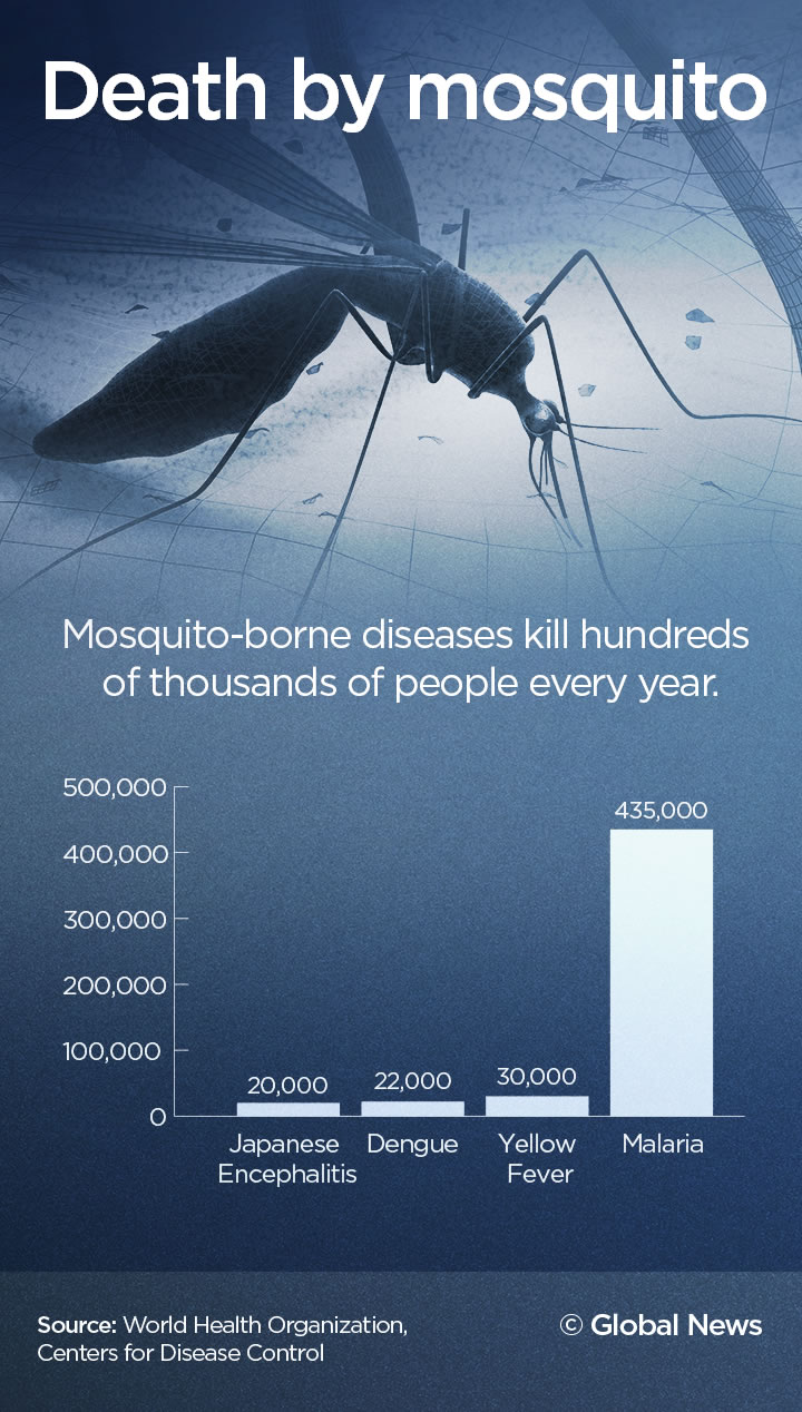 hemera vs mosquito