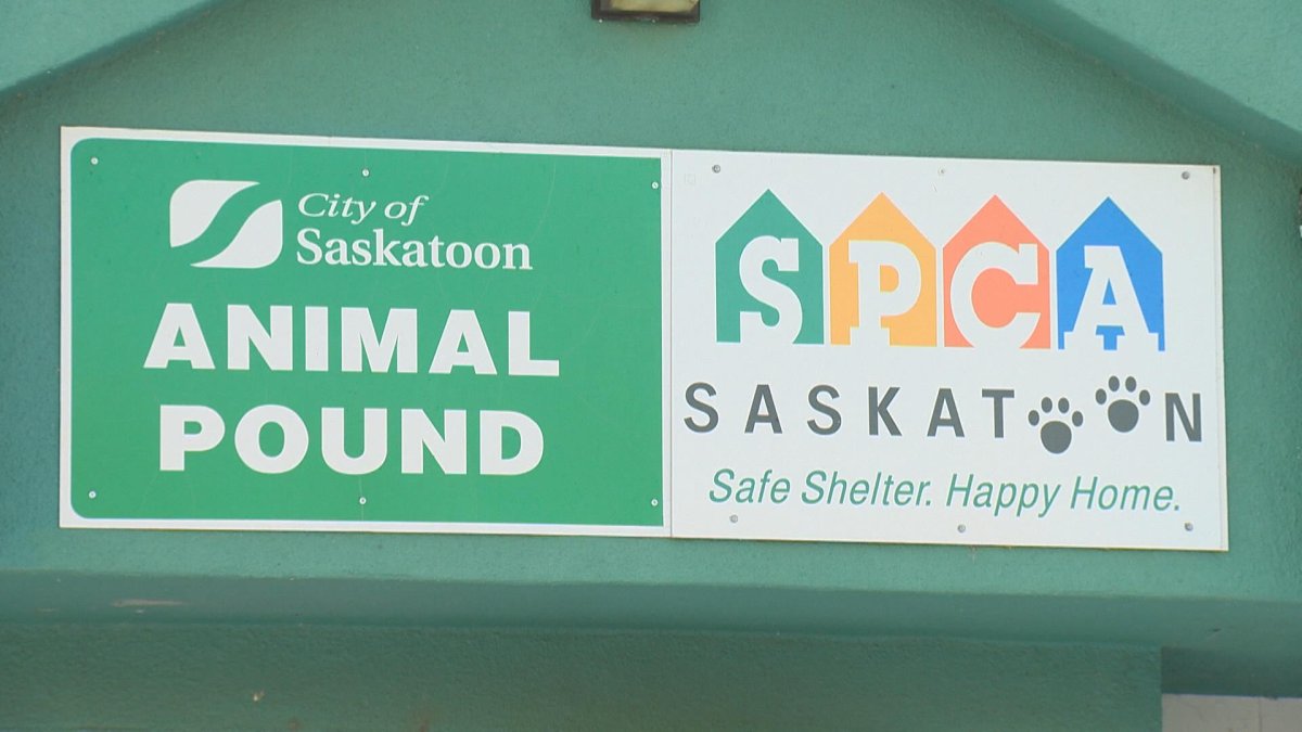 The Saskatoon SPCA said a number of items, including documents and a microchip scanned, were stolen from its emergency on-call vehicle.