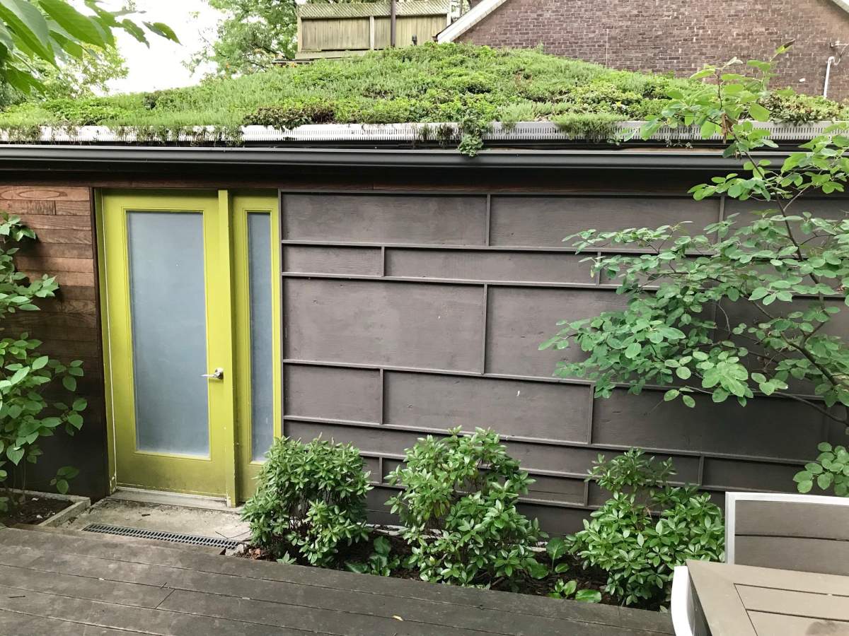 Are green roofs just a trend? How this sustainable solution can help you save energy - image