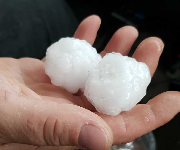 Grapefruitsized hail hammered Spruce Grove as thunderstorm swept