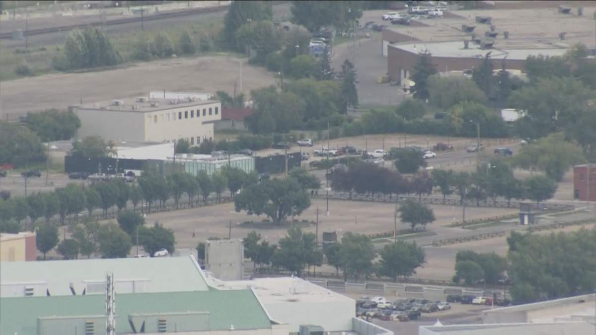 The large elm tree sits in the middle of a parking lot on the proposed site of Calgary’s new event centre.