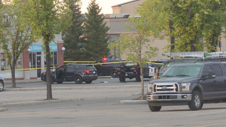 Calgary police officers attend a scene on Shawville Boulevard S.E. on Sunday morning.