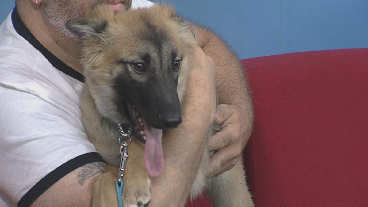 Nymira stopped by Global News Morning for the latest Adopt A Pal segment.