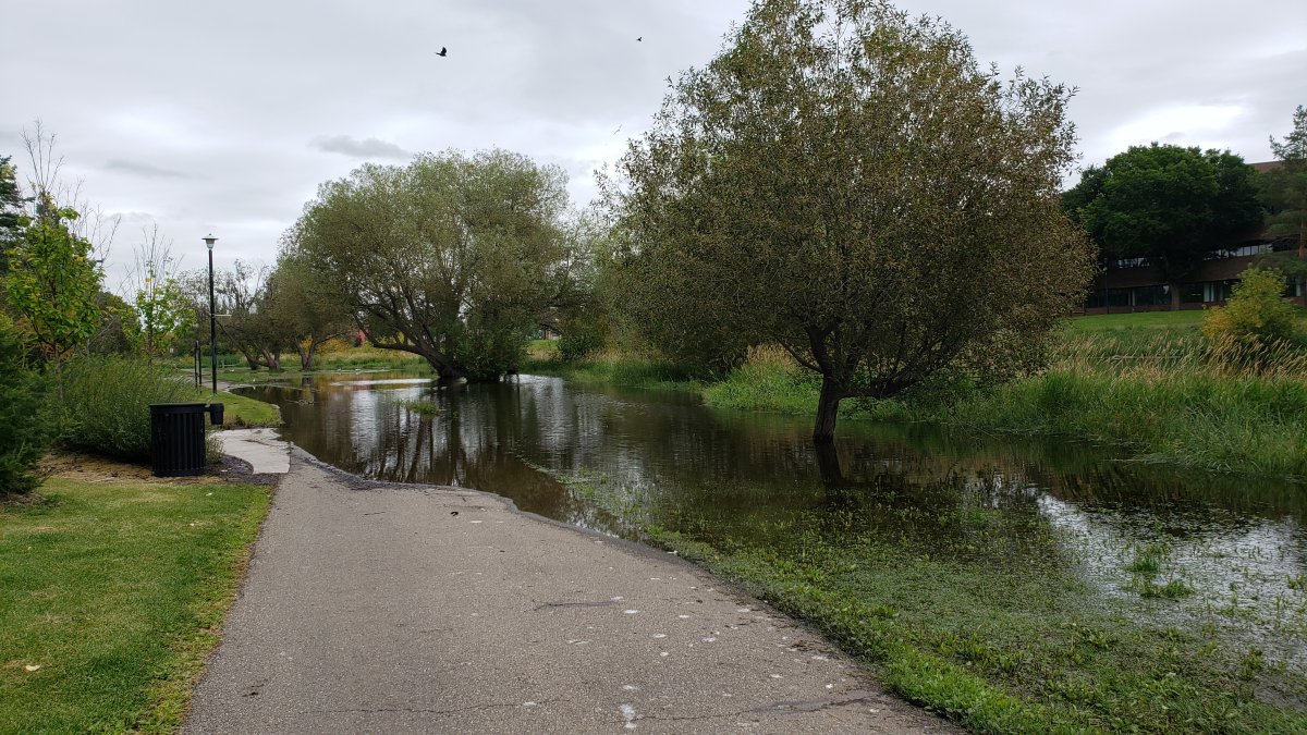 Sturgeon River floods in sections of St. Albert, Sunday, Aug. 18, 2019. 