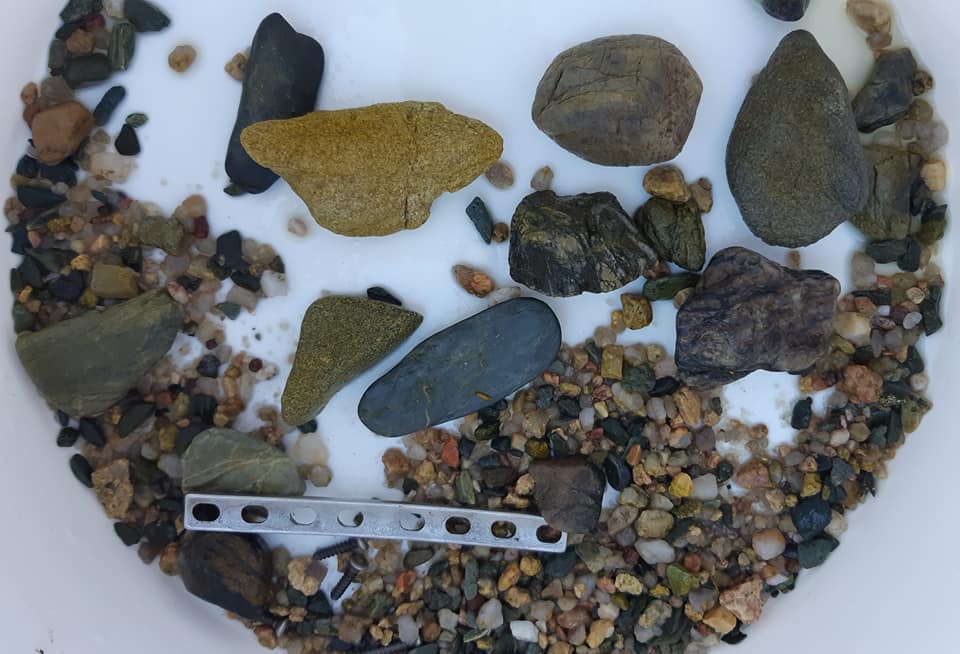 A metal plate is shown among several rocks and screws found inside a dead crocodile in Rockhampton, Australia, in this image posted online July 29, 2019.