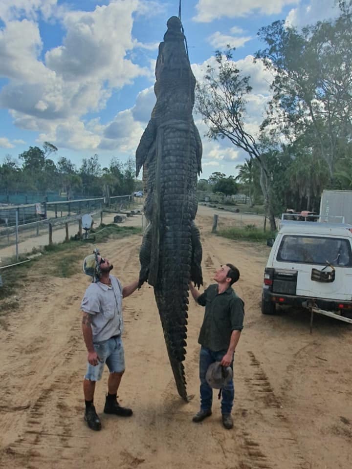A dead crocodile is shown at the Koorana Crocodile Farm in Rockhampton, Australia, in this photo posted online July 29, 2019.