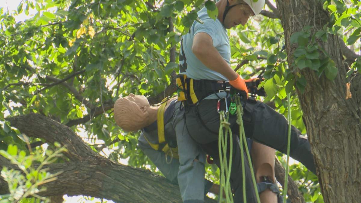 A competitor participates in the aerial rescue challenge in the Prairie Chapter Tree Climbing Championship on Aug. 24, 2019.