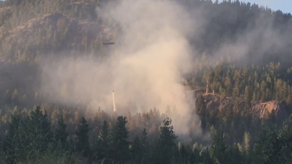 The Mount Miller wildfire is currently estimated at less than a hectare in size. 