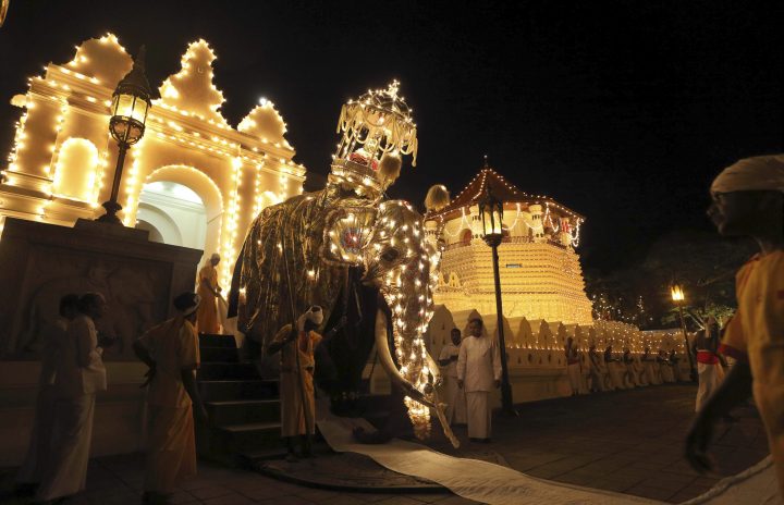 In this Monday, Aug. 19, 2013 photo, a decorated tusker carries a casket containing a sacred tooth relic believed to be of Lord Buddha during an annual Buddhist procession in Kandy, Sri Lanka.
