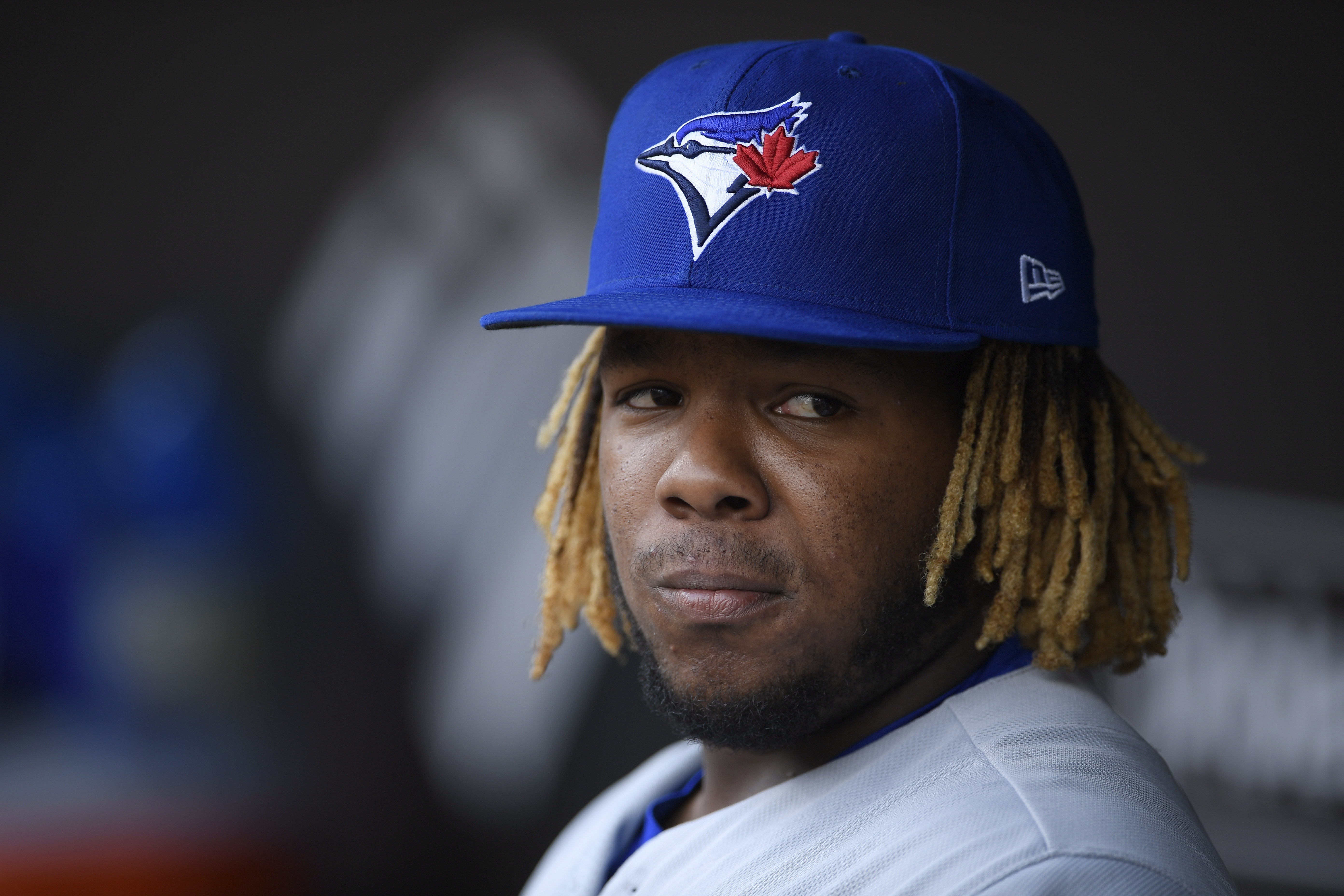 MLB media believes that the Toronto Blue Jays are in for something special  this year