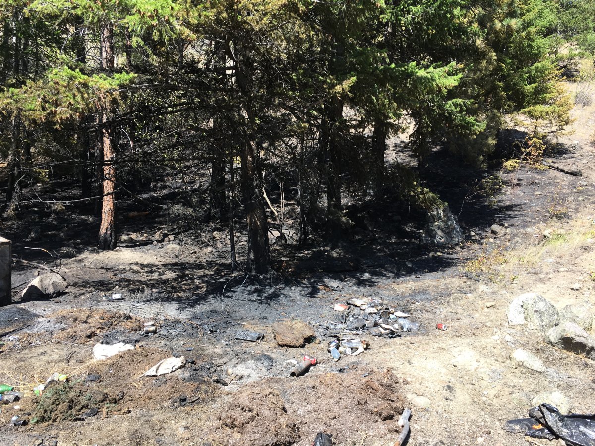 West Kelowna wildfire being treated as suspicious fire chief