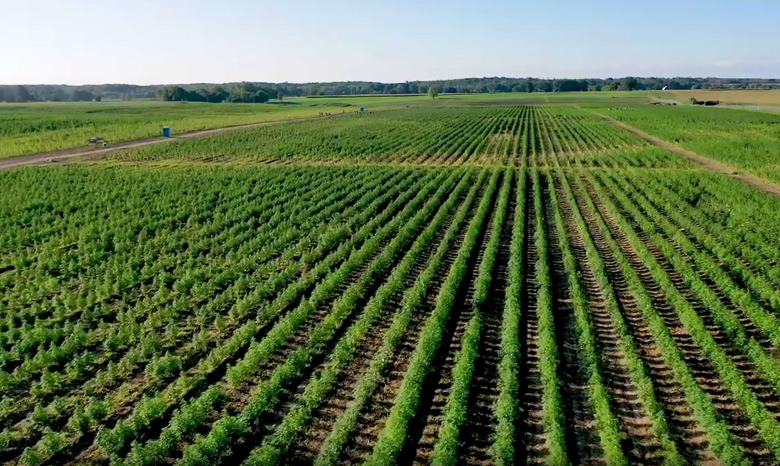 This promise does not contain a factual error. The sales tax on medical cannabis is controversial, and several other parties, including the NDP and Conservatives, have called for it to be removed.