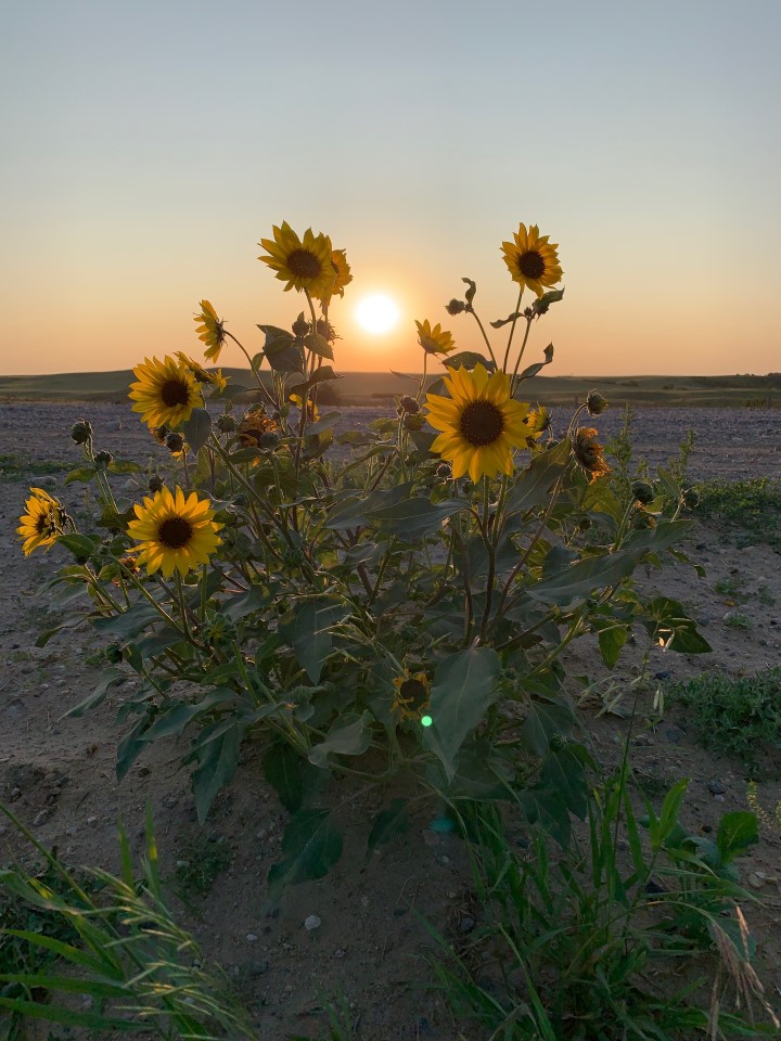 Saskatchewan weather outlook snow possible for the first weekend of