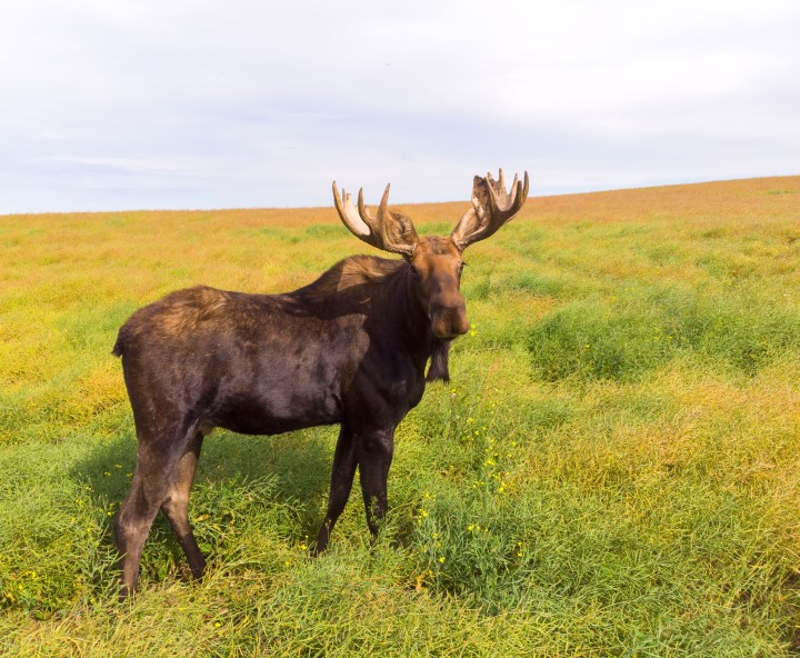 The Your Saskatchewan photo for September 27 was taken near Bruno by Philippe Gaudet.