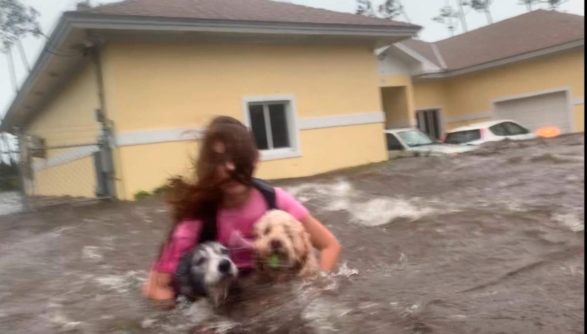 Julia Aylen wades through waist-deep water carrying her pet dogs as she is rescued from her flooded home during hurricane Dorian in Freeport, Bahamas, Tuesday, Sept. 3, 2019. (AP Photo/Tim Aylen)