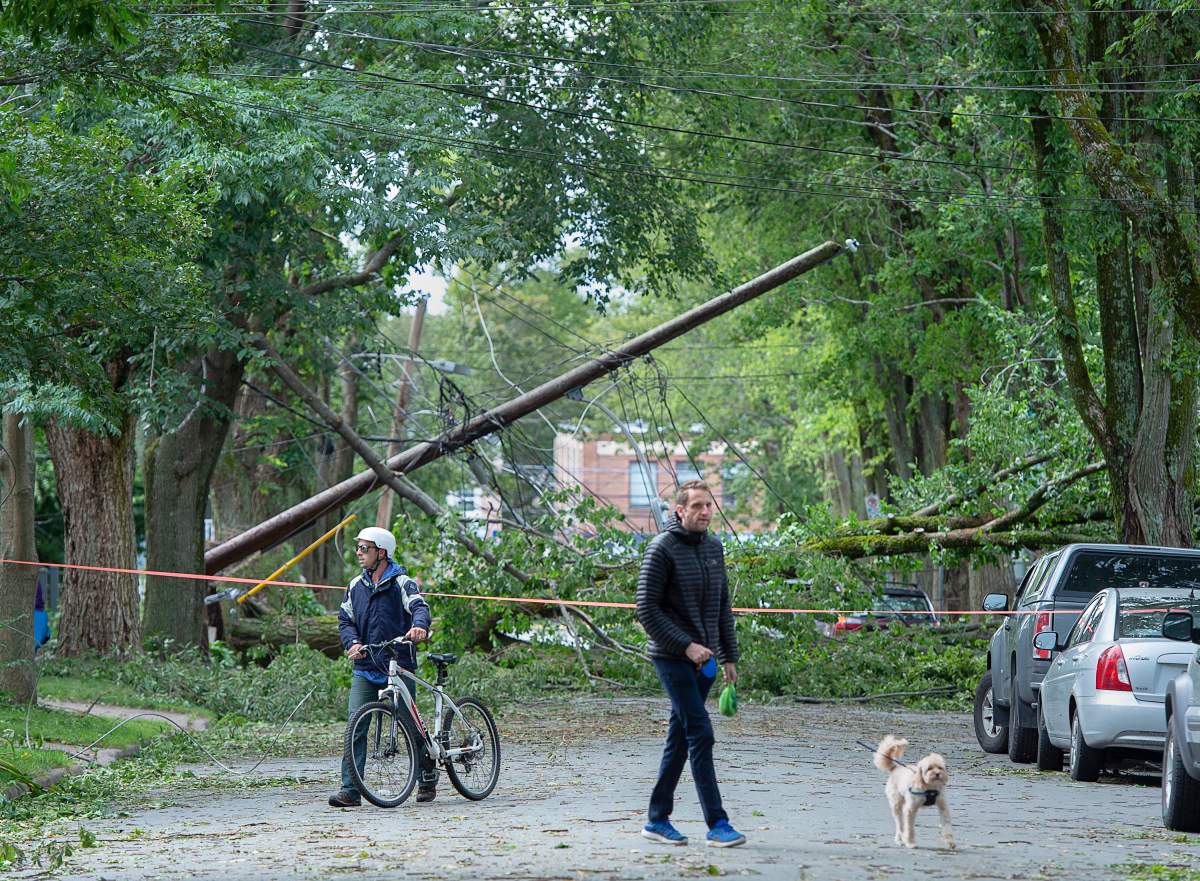 A street is blocked by fallen trees in Halifax on Sunday, Sept. 8, 2019.