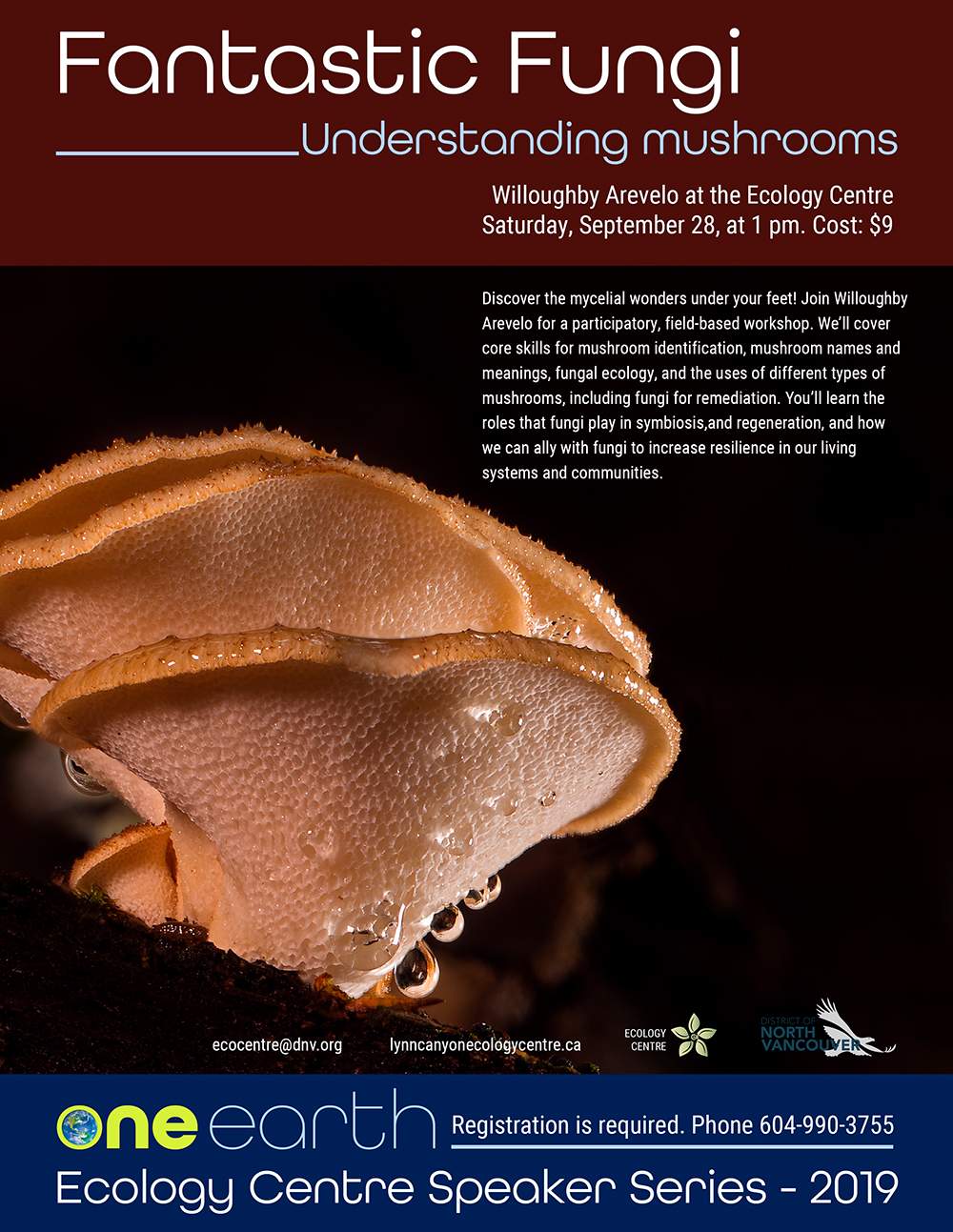 One Earth Speaker Series – Fantastic Fungi - image