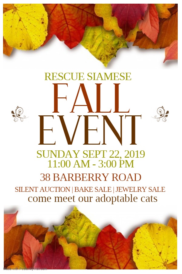 Rescue Siamese Fall Open House - image