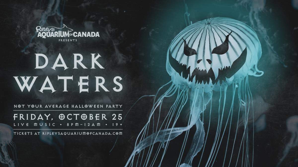 Dark Waters - image