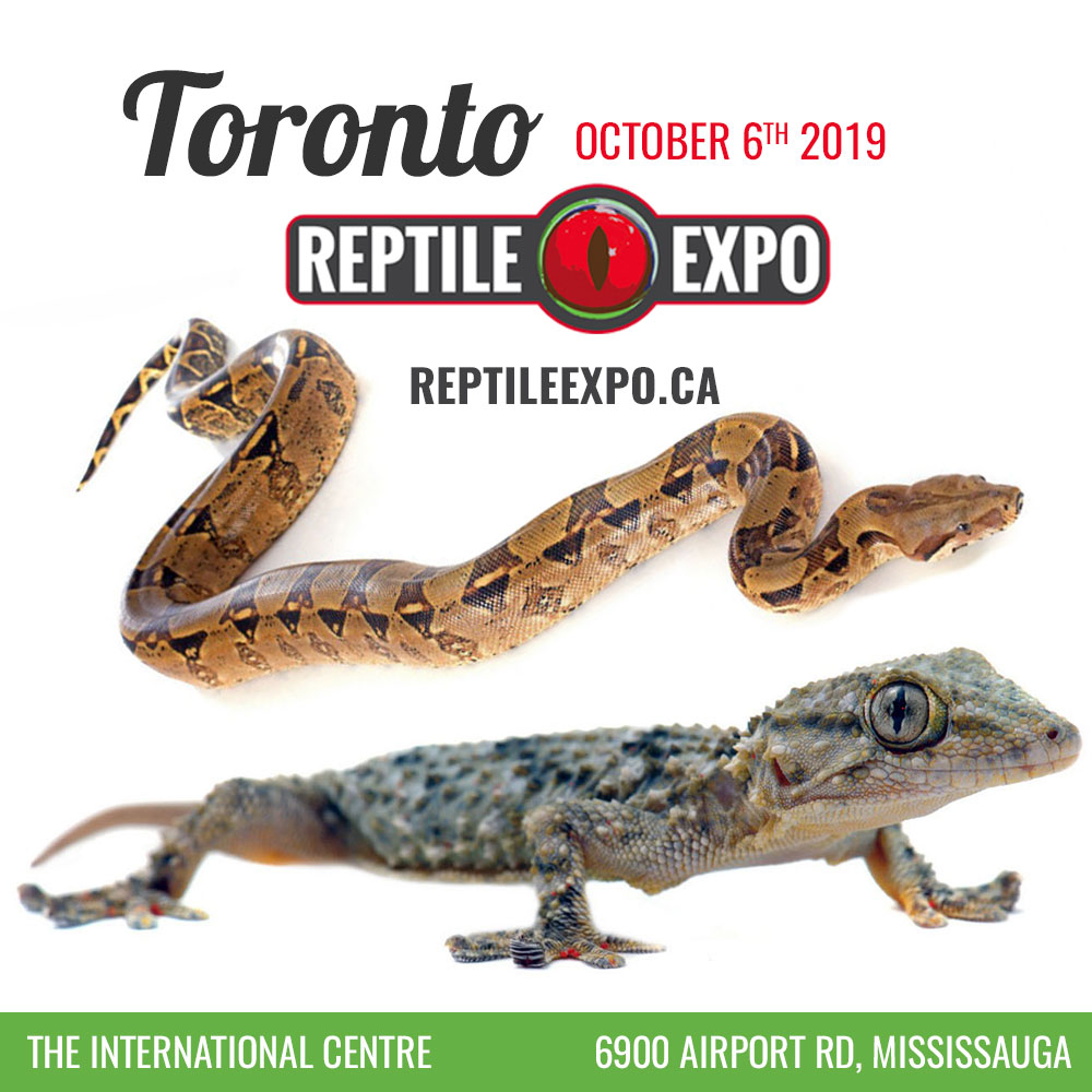Toronto Reptile Expo GlobalNews Events