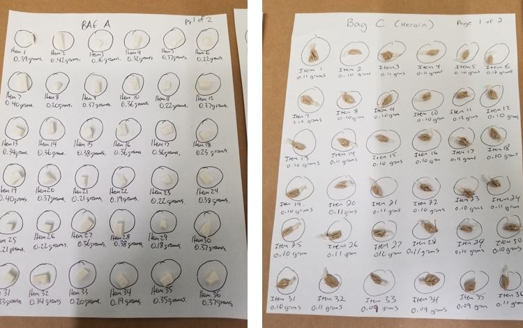 Packages of cocaine, heroin and fentanyl seen laid out in a Burnaby RCMP handout photo. Police arrested and charged two men in connection to trafficking the packages.