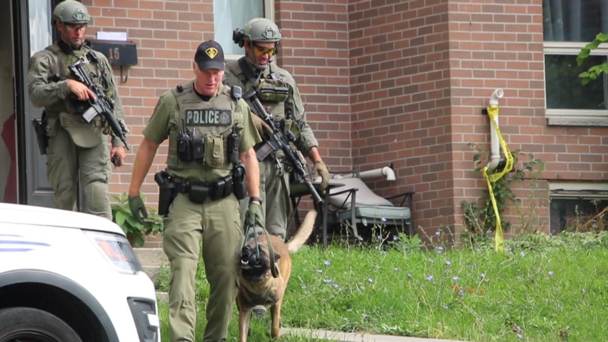 Firearm discharged in neighbourhood dispute, according to Kingston police - image