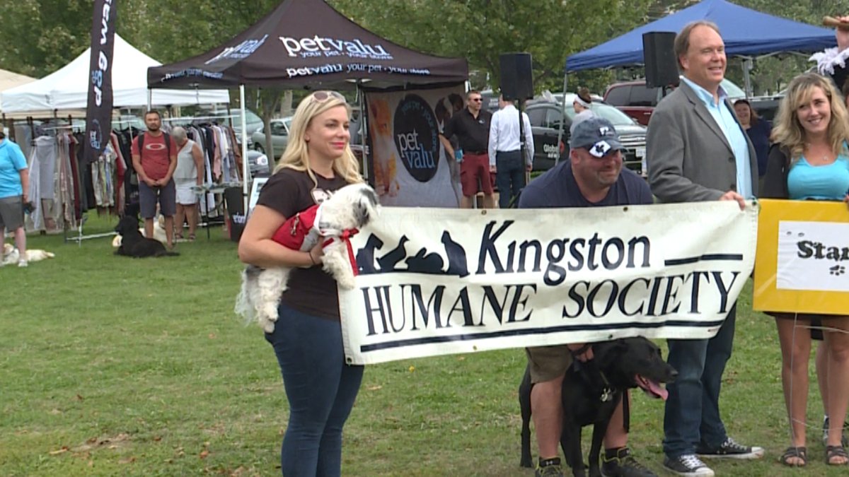 The Humane Society's goal this year is to raise $30,000, which will go towards helping care for pets.