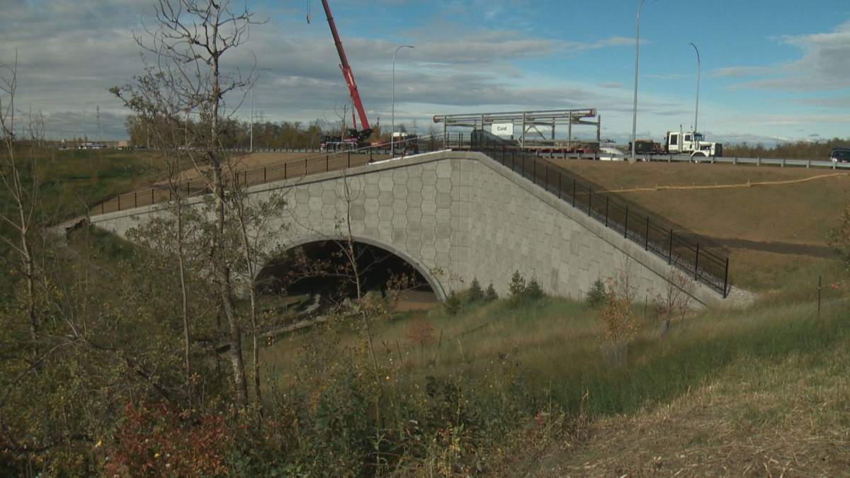 The Aurum Road wildlife bridge was unveiled in northeast Edmonton Wednesday, Sept. 25, 2019.