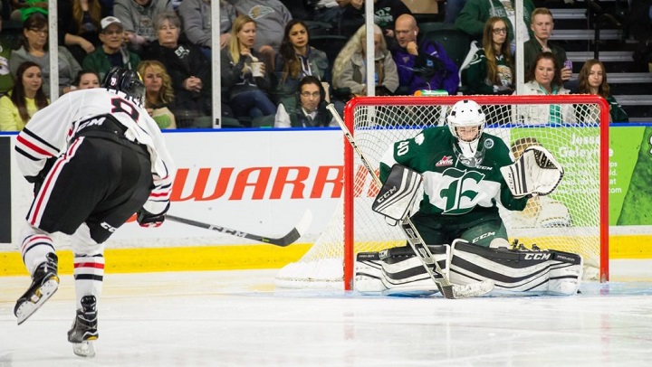 The Regina Pats traded for Everett Silvertips goalie prospect Danton Belluk on Monday. Belluk played in two Western Hockey League (WHL) games in 2017-18.  