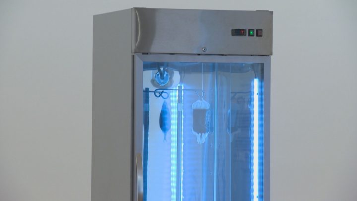 The exhibit invites people to explore blood in new ways.