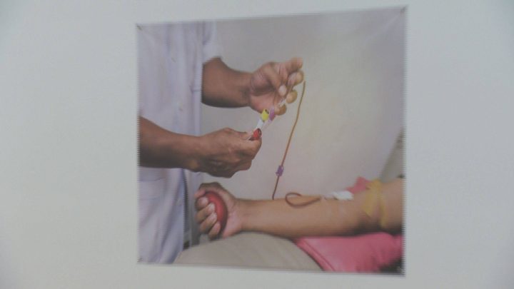 Remai Modern is the first museum to show the exhibit.