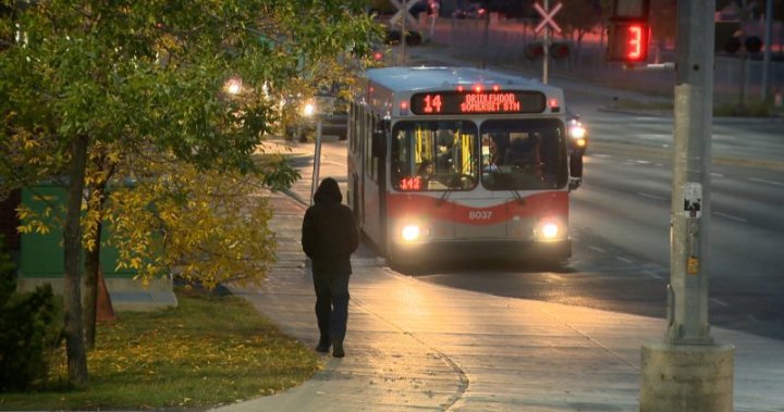 Calgary Transit relaunch strategy to include security personnel amid safety concerns
